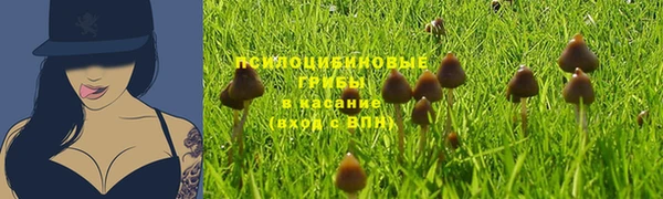 шишки Абинск